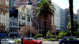 Montevideo Zentrum: Grnanlagen und Palmen mildern den architektonischen  Wirrwar, lassen alles  schner aussehen ...