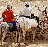 Kinder mit Eseln warten auf mde Touristen ...