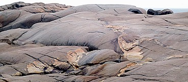 Ablagerungen an der Kste bei Peggys Cove